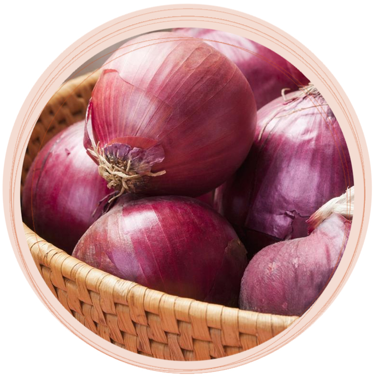 Hospitality & Service